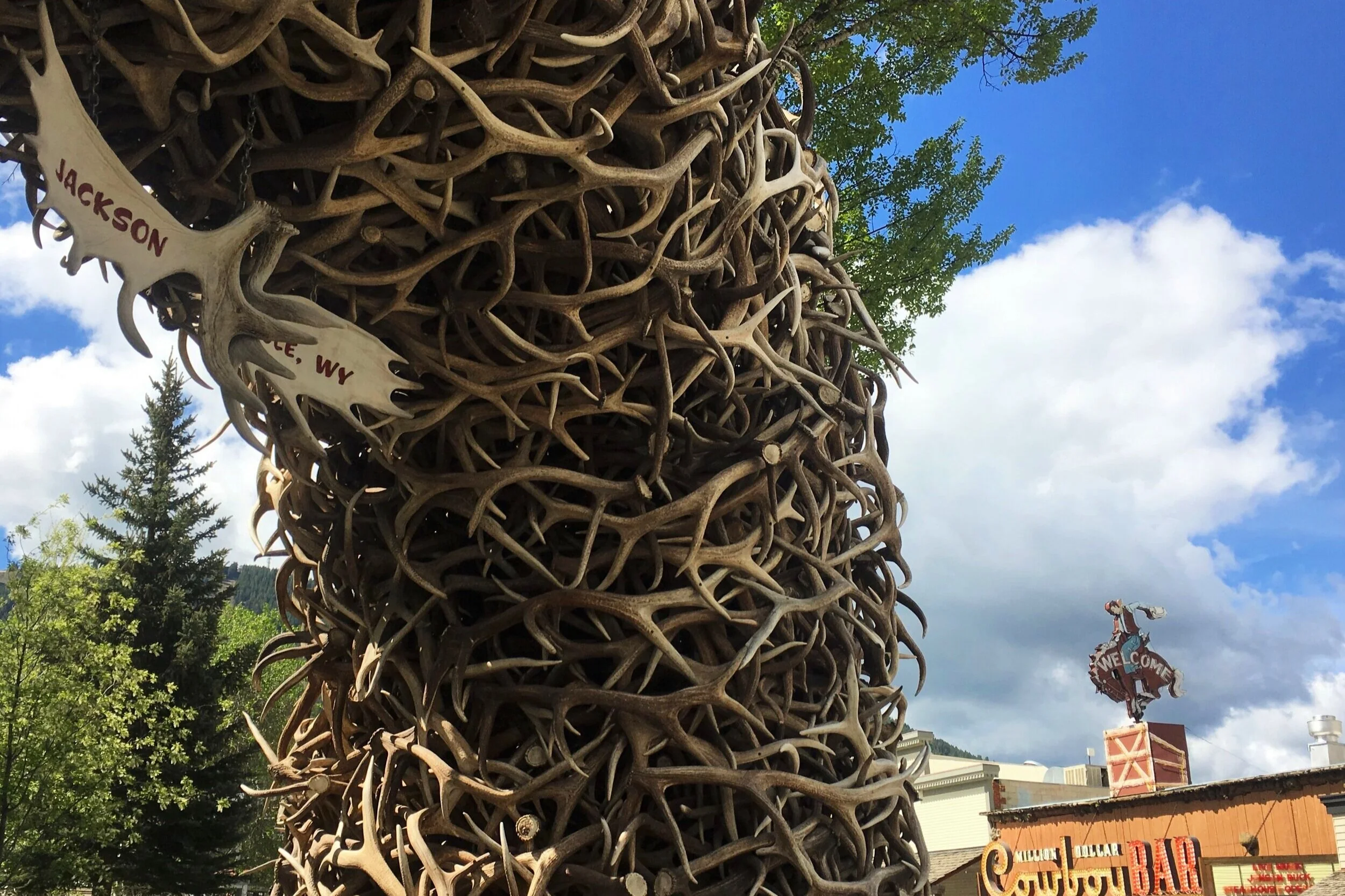 Jackson Hole Marathon,  Hole Half Marathon, Jackson Hole Quarter Marathon photo 8