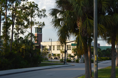 Fort Myers Half Marathon & 5K photo 3