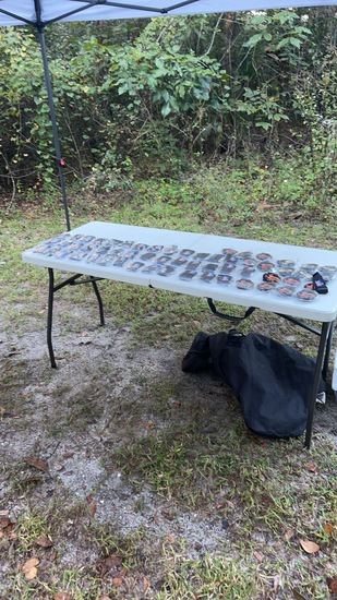 Gobbler 5K, 10K, & 13.1M at DeBary, FL (47) photo 2