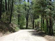 23nd Annual Groom Creek Classic: 1/2 Marathon, 10k, 5k Run photo 2