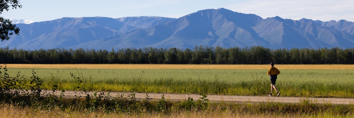 Delta Junction Barley Half Marathon photo 1