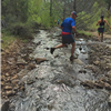 Paiute Meadows Trail Run photo 2