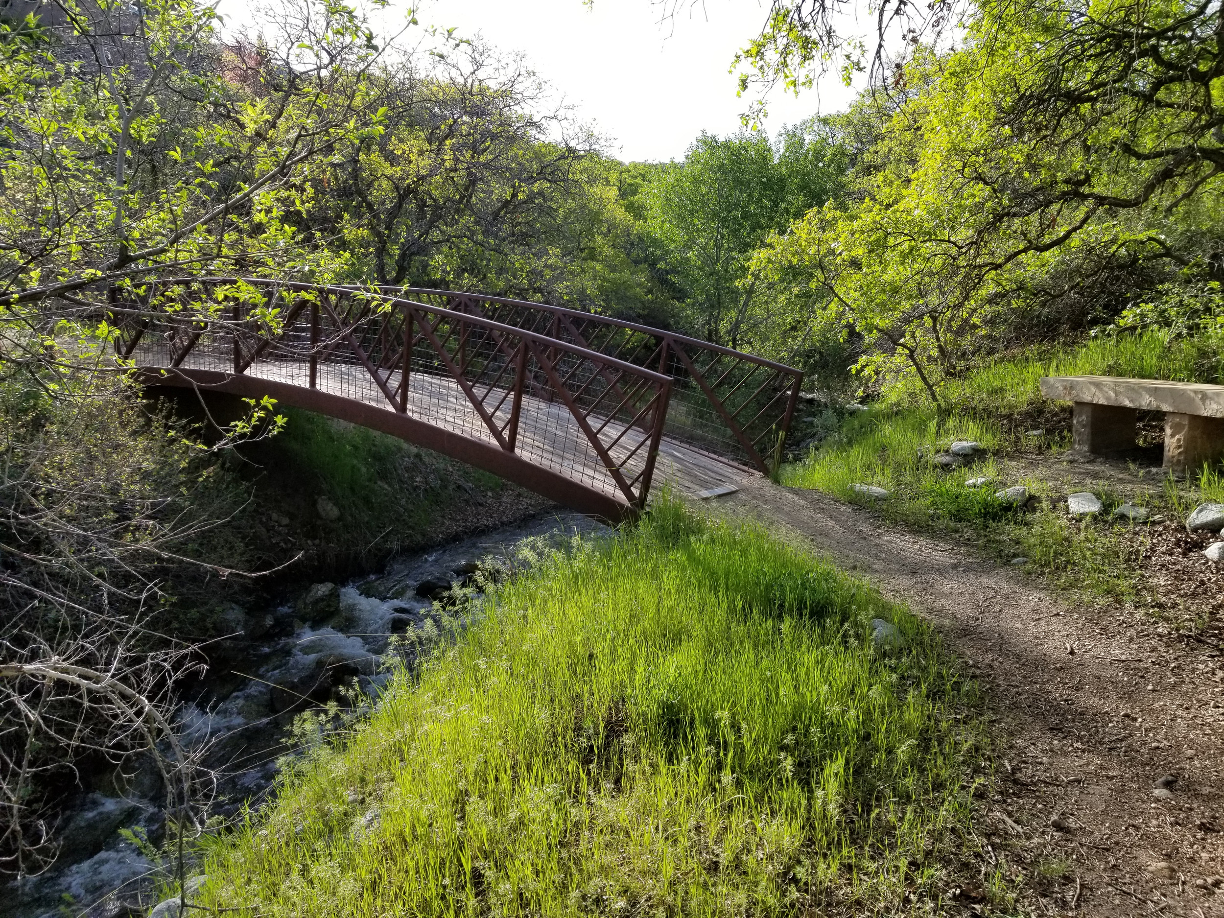 Juniper Canyon Half Marathon photo 1