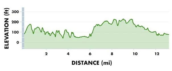 Paine to Pain Trail Half Marathon photo 5