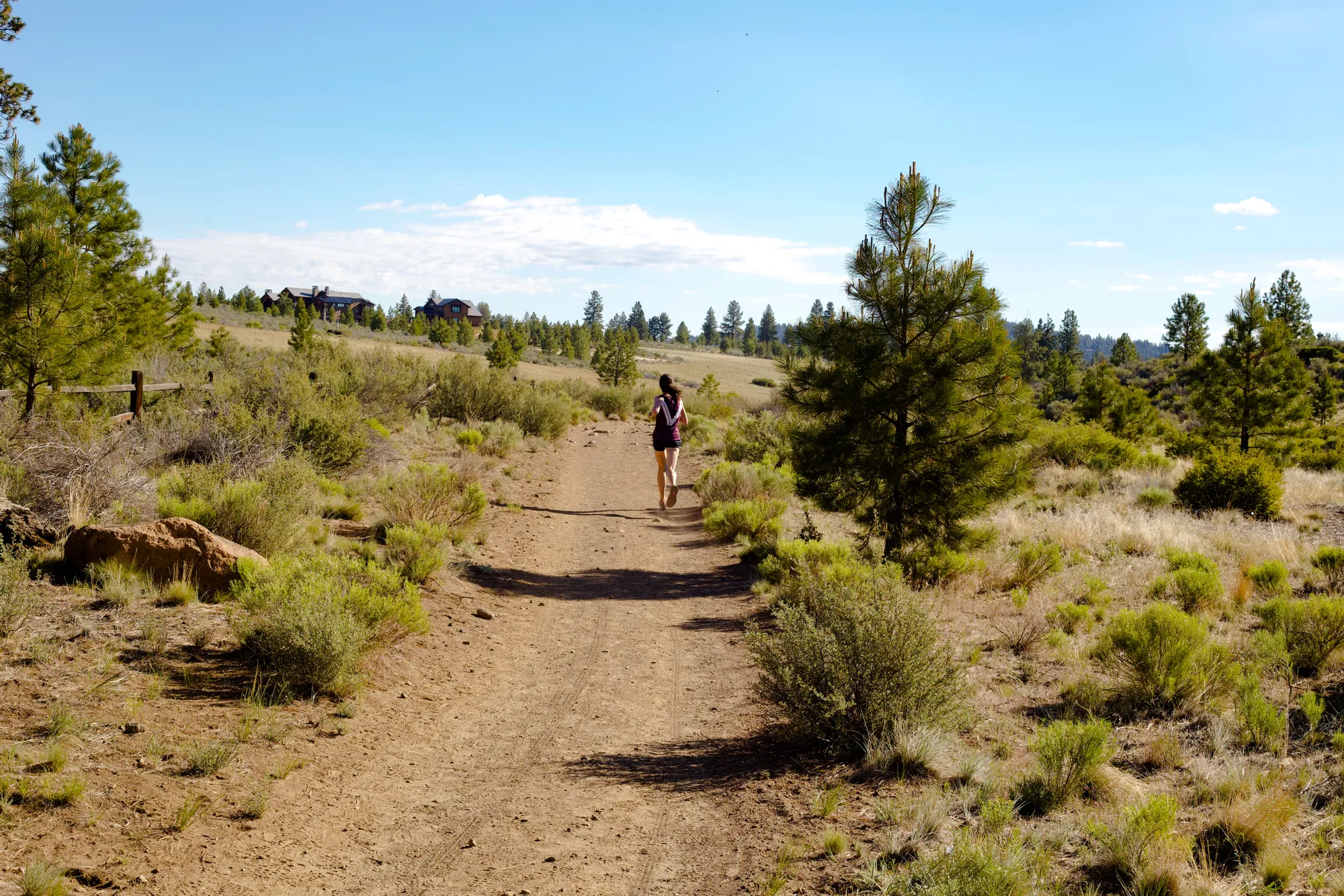 Dirty Half Marathon photo 2
