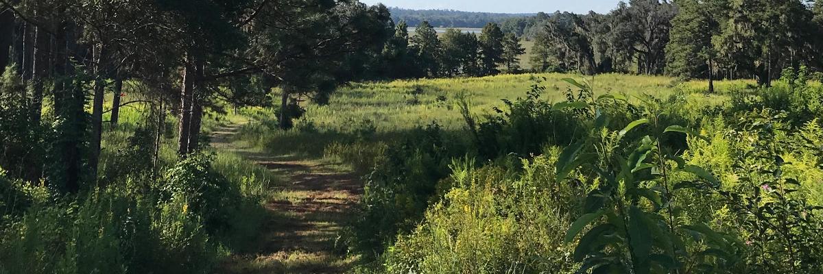 GWTC Pine Run 20K at Tall Timbers photo 1