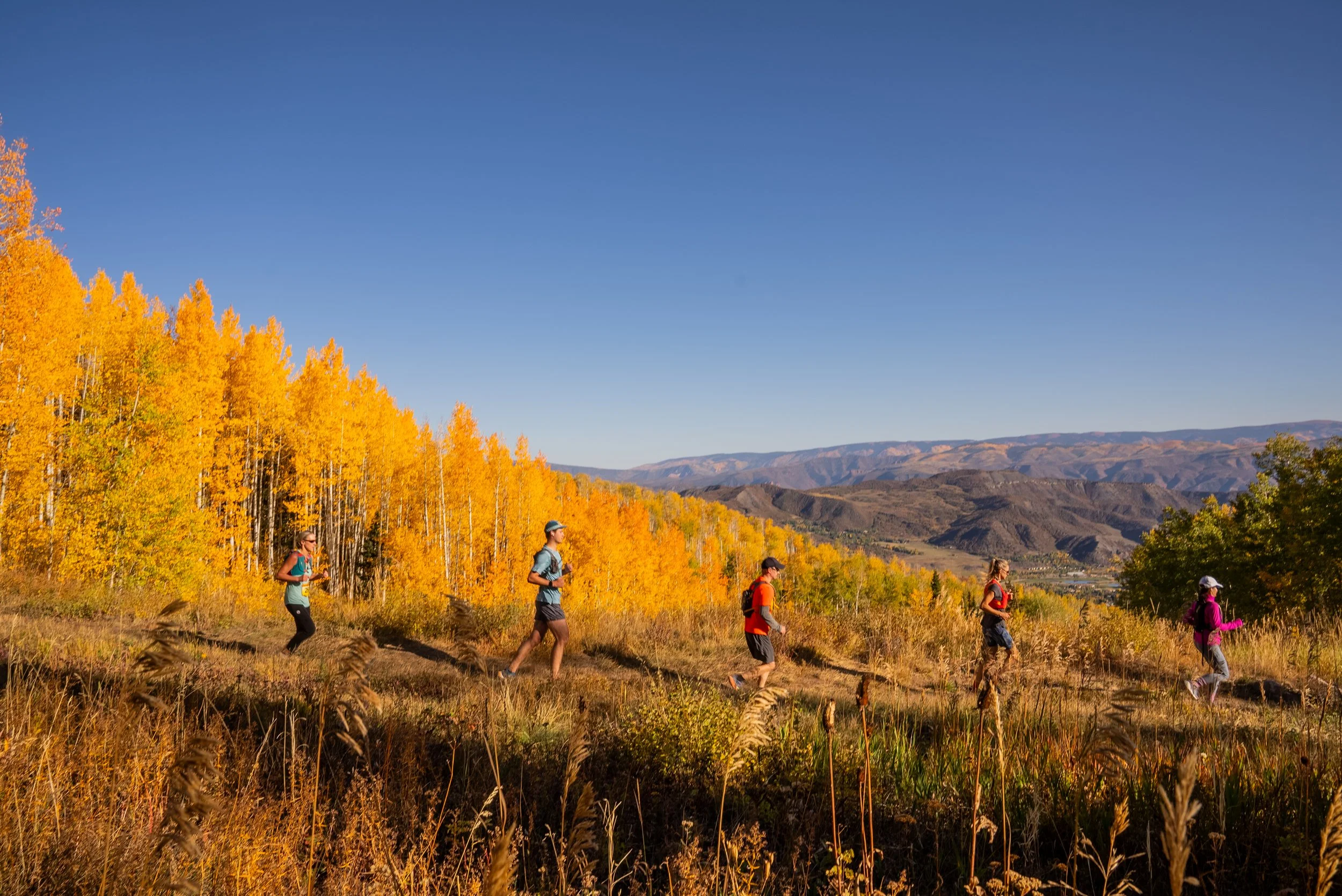 Golden Leaf Half Marathon photo 1