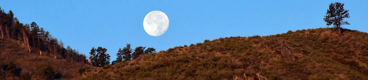 NOCO Half Marathon & 10K photo 6