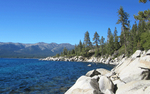 Burton Creek Trail Run photo 7