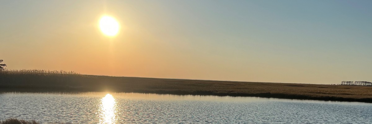 Harvest to Horizon Running Festival photo 1