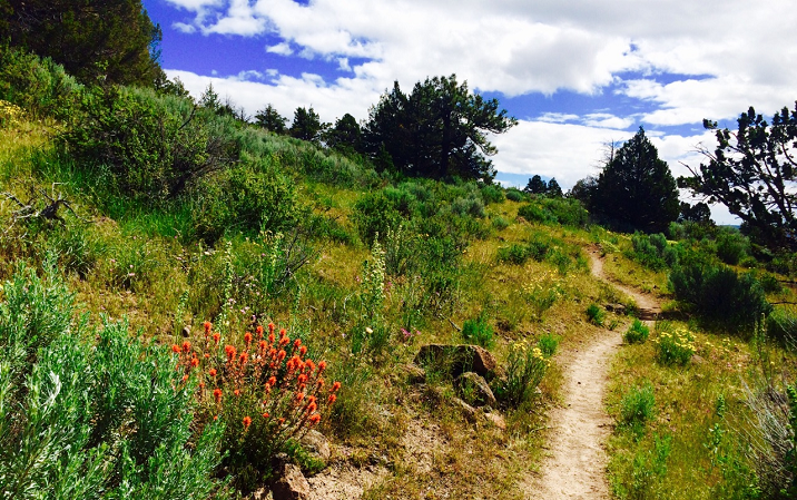 Bizz Johnson's Southside Scramble photo 10