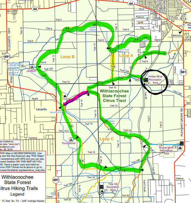 Withlacoochee Forest Trail Marathon photo 6