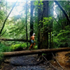 Mendocino Running Festival photo 4