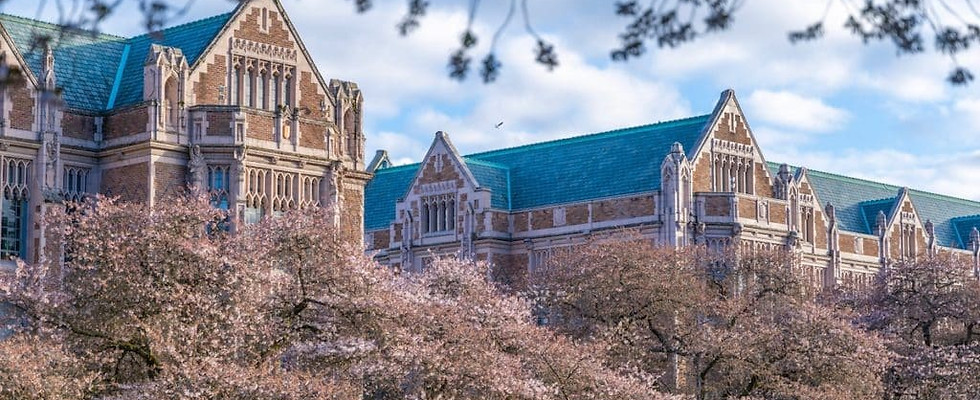 Seattle Cherry Blossom Run photo 3