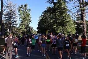 Swanzey Covered Bridges Half Marathon photo 4