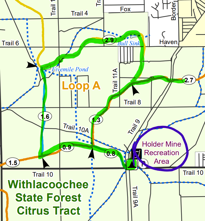 Withlacoochee Forest Trail Marathon photo 5