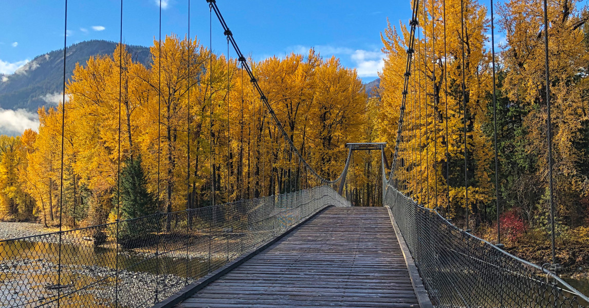 Sunflower Trail Marathon photo 9