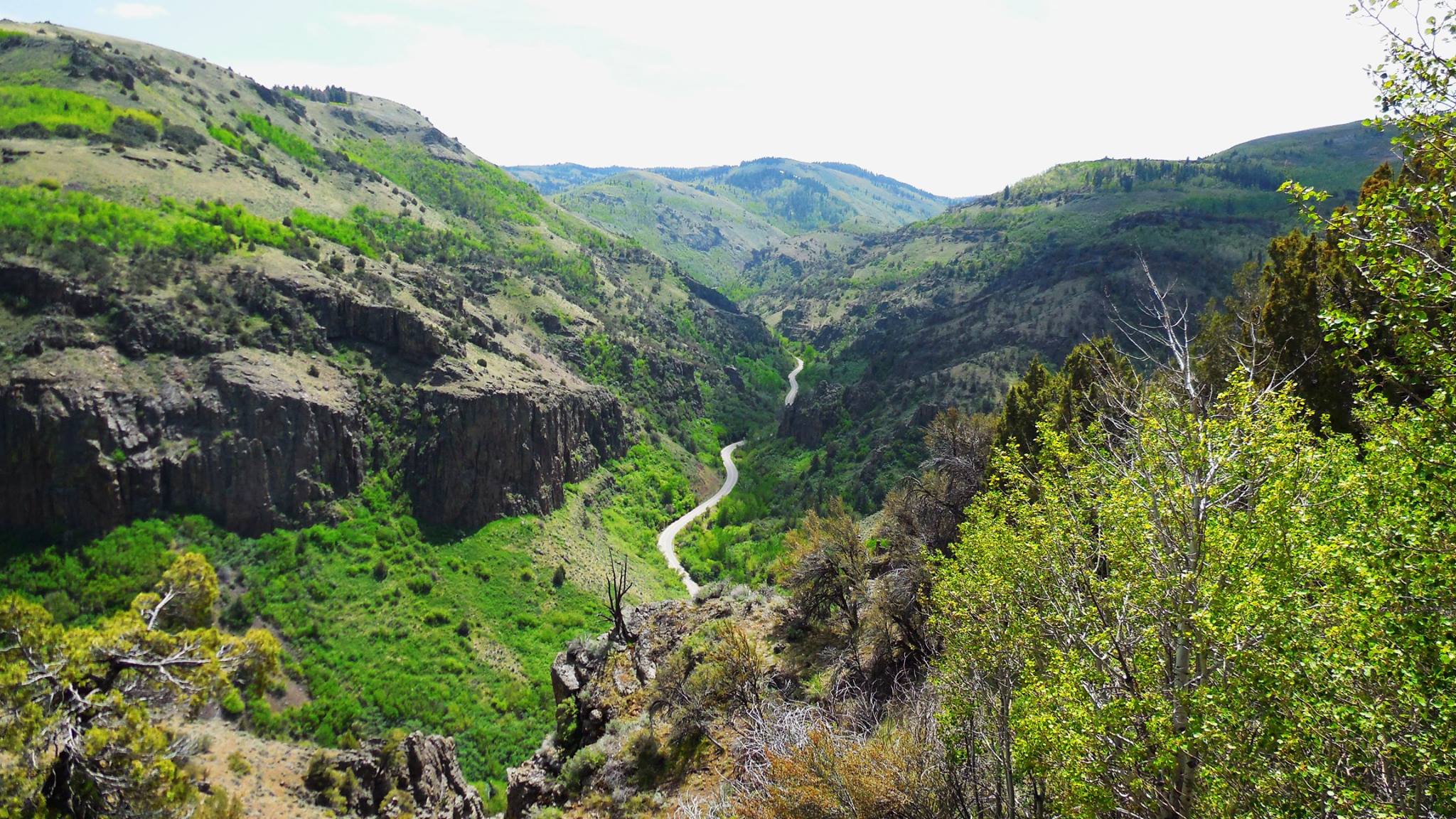 Outlaw Trail Ultra Half Marathon photo 10