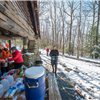 Coopers Rock 50K photo 8