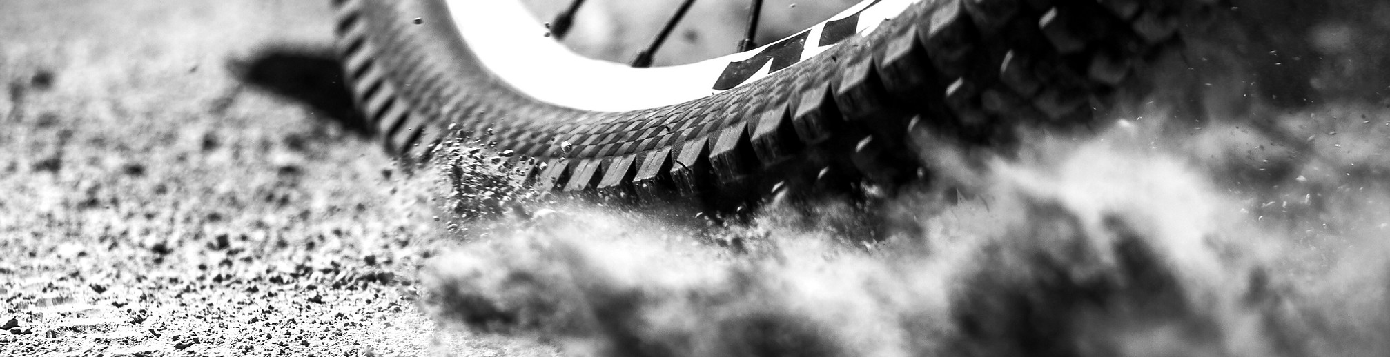 Duluth Trails Festival photo 1