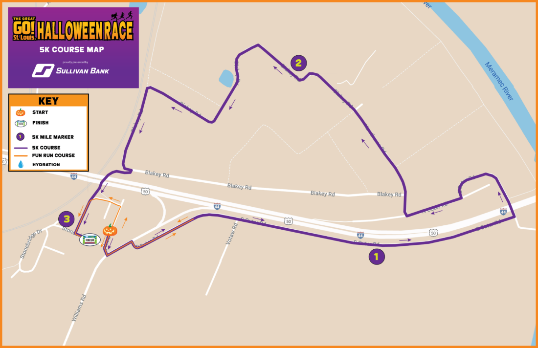 The Great GO! St. Louis Halloween Race photo 10