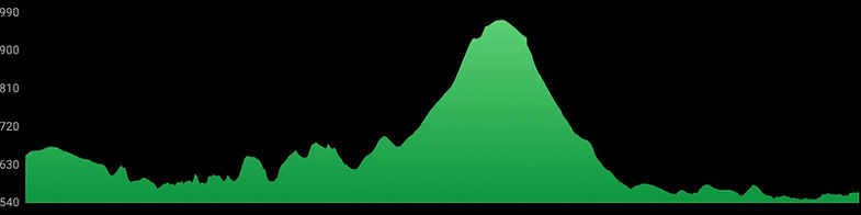 The Driftless Half Marathon photo 3