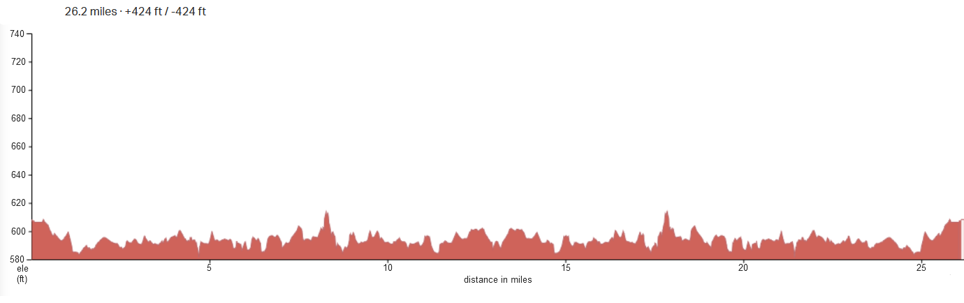 Bayshore Marathon, Half Marathon, 10K, & Kids Fun Run photo 4