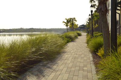 Fort Myers Half Marathon & 5K photo 5