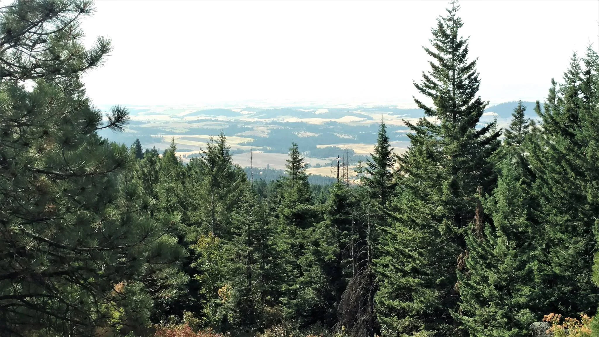 Moscow Mountain Madness photo 6