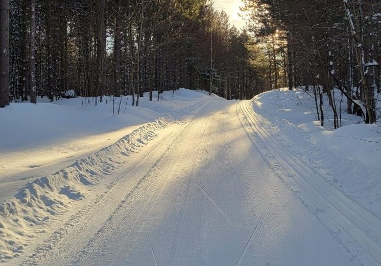 The Paavo Marathon | Half | Relay | And More photo 3