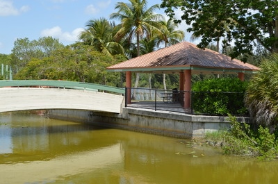 Sunrise Half Marathon photo 4