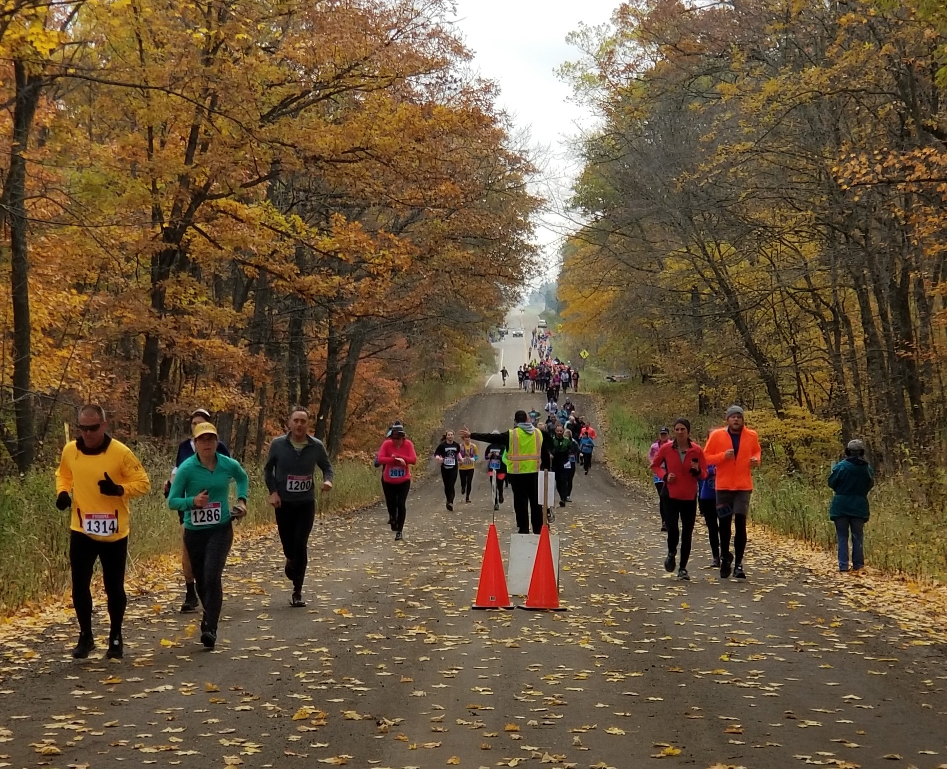 Big Woods Run photo 4
