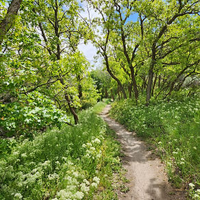 Juniper Canyon Half Marathon photo 5