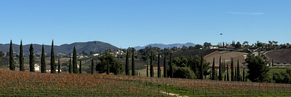 Cycle Through the Vineyards photo 4