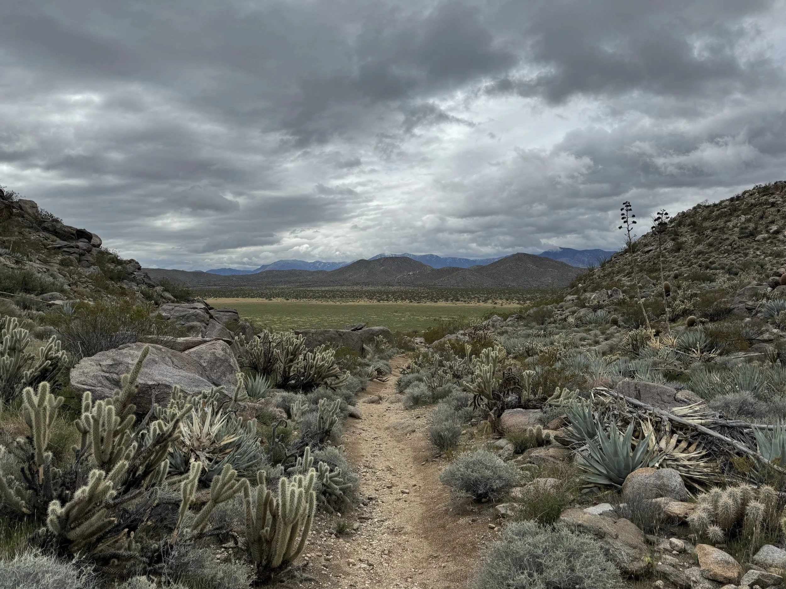 Old West Trail Runs photo 7