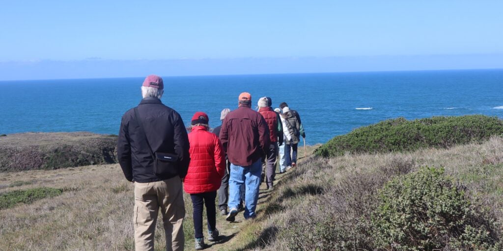 Noyo Headlands Race photo 2