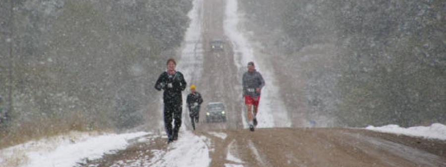 Bohemian Alps Endurance Runs photo 1