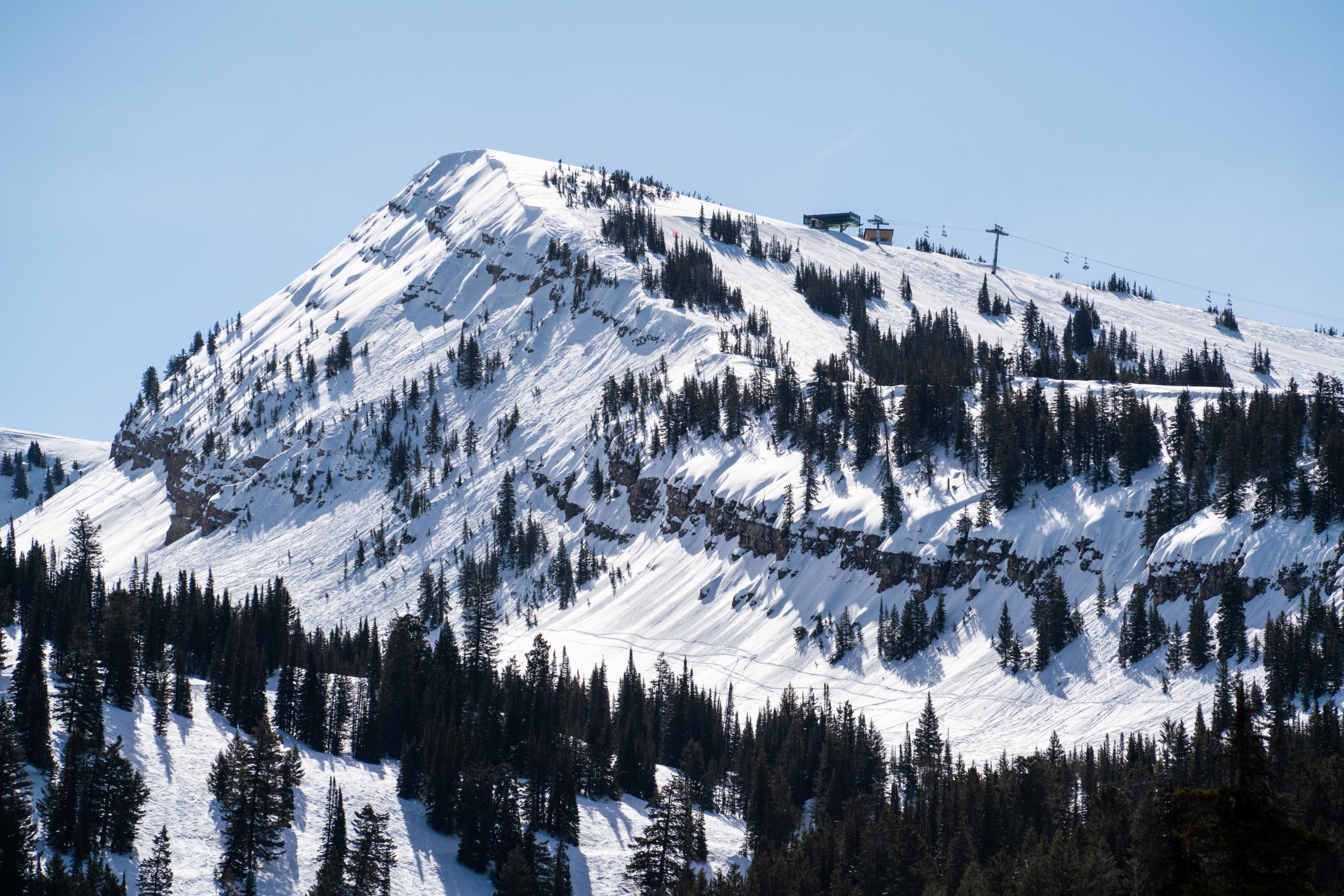 Grand Targhee Wildflower Run photo 9