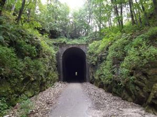 Apple Dumpling Day Races photo 7