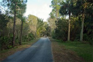 AdventHealth Presents the Central Florida Legends Marathon, Half Marathon and 5K photo 7