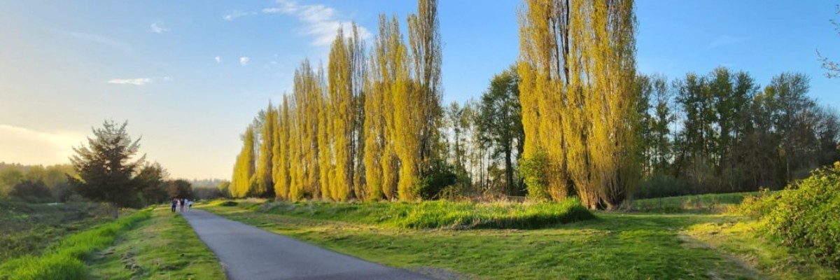 Redmond Harvest Half Marathon photo 6