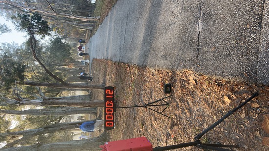 Holiday 5K, 10K, & 13.1M at Bradenton, FL (51) photo 1