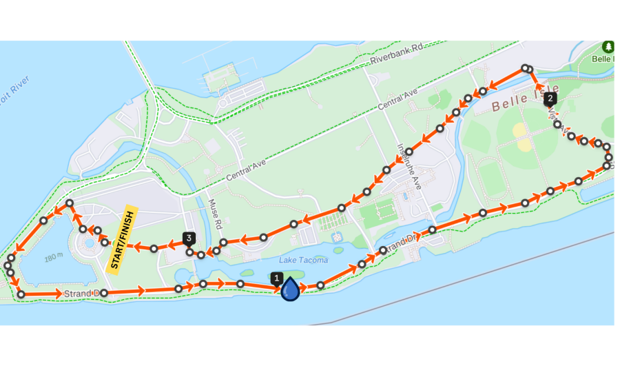 Detroit Women's Half Marathon, 10K, and 5K: Women Run the D Run/Walk photo 1