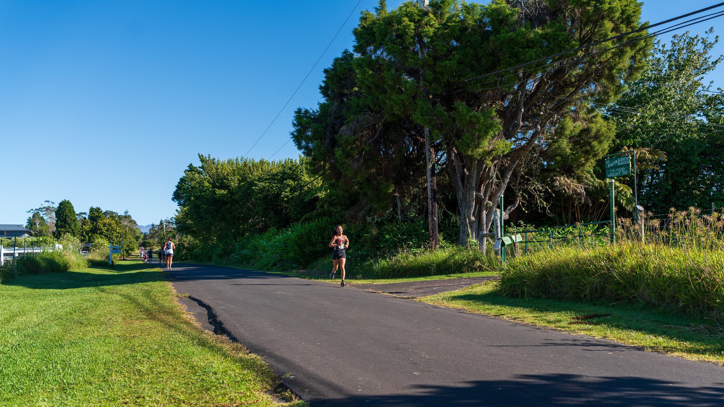 Volcano's 'Ohi'a Lehua Run photo 3