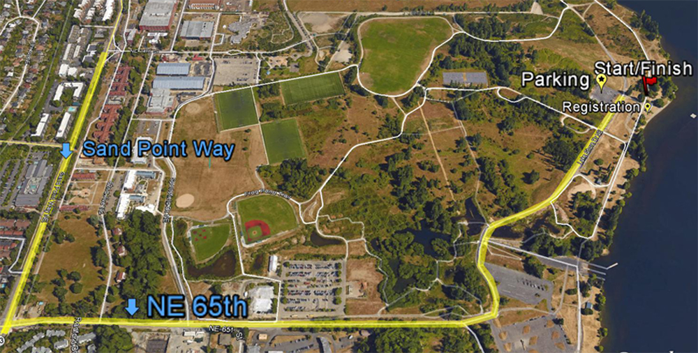 Solstice Run photo 6