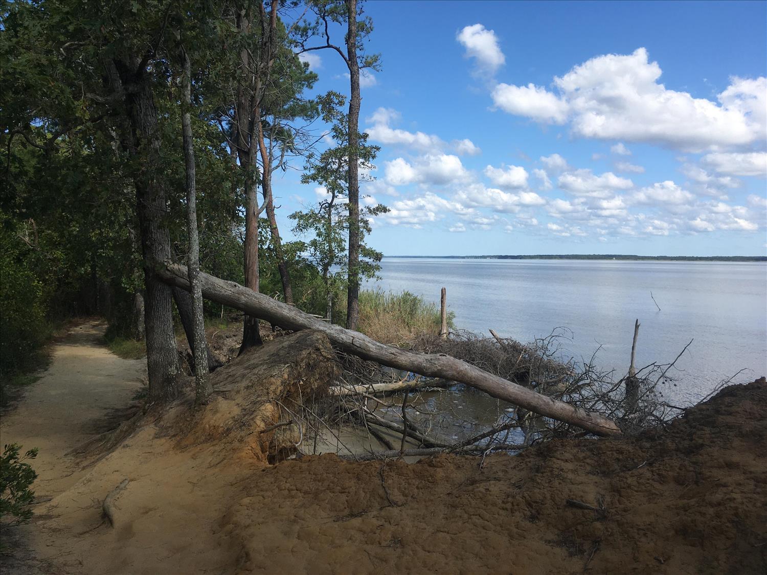 Taskinas Creek Half Marathon photo 9