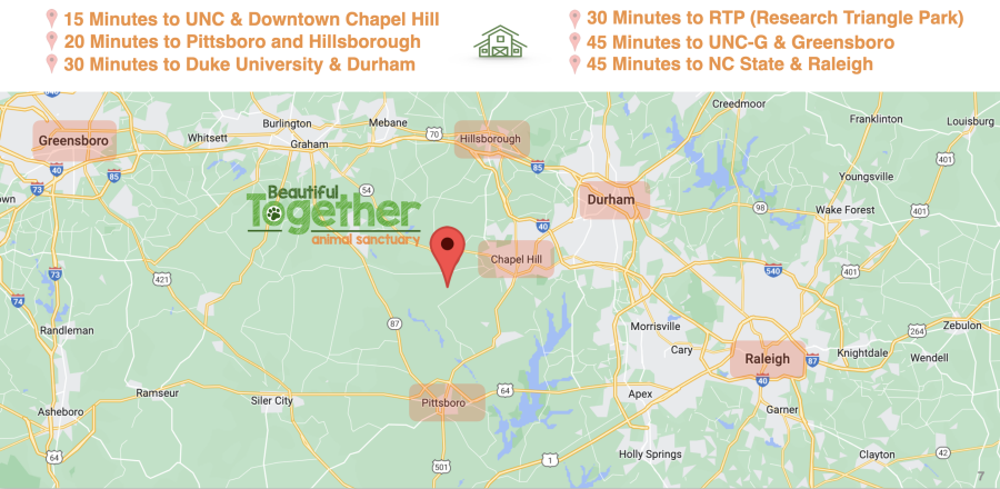 Blue Heaven Trail Fest photo 1