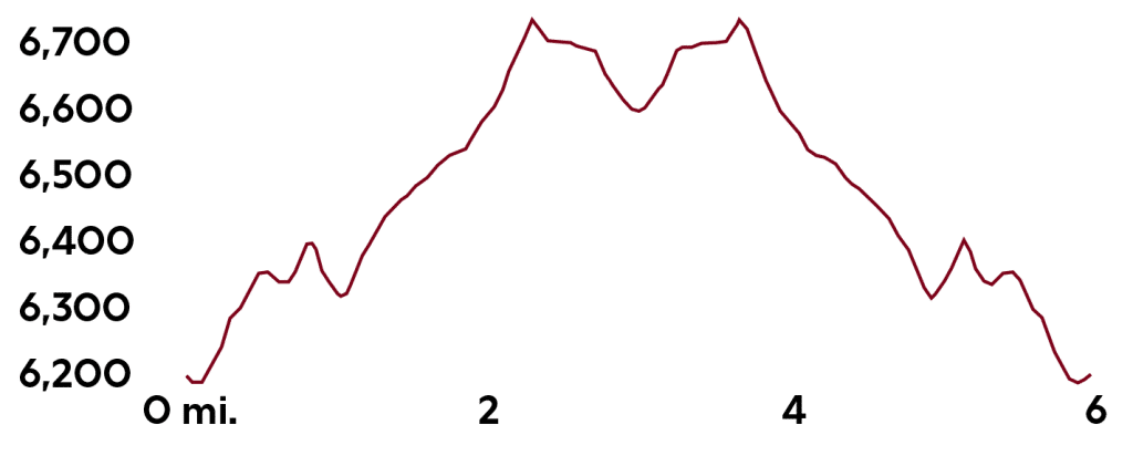 Colorado Cold Rush photo 15