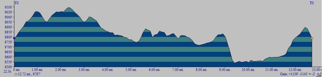AZT Oracle Rumble photo 2