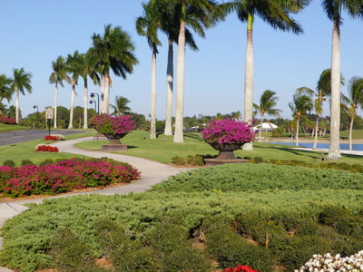 Naples Distance Classic photo 3